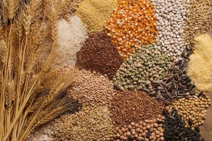 Kisan Products