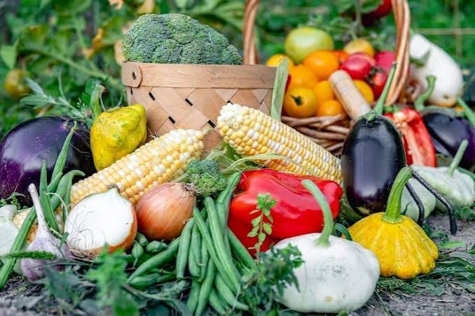 Agriculture Products